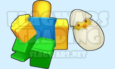 Baby Chick