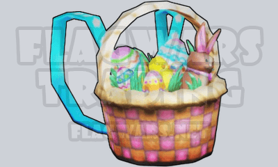 Egg Basket