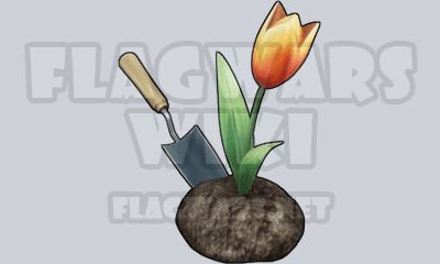 Garden Tulip