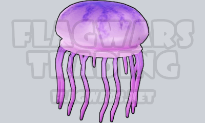 Jellyfish