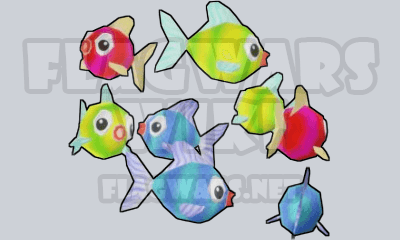 School Of Fish