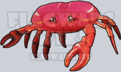 Shoulder Crab