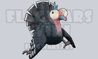 Turkey Friend