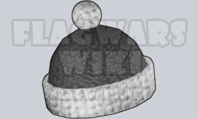 Winter Cap