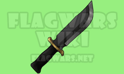 Knife