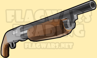 Slug Shotgun